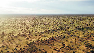 19:30: Leben mit Löwen | Arte | 4/19 2026