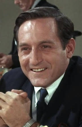 Noam Pitlik as Director