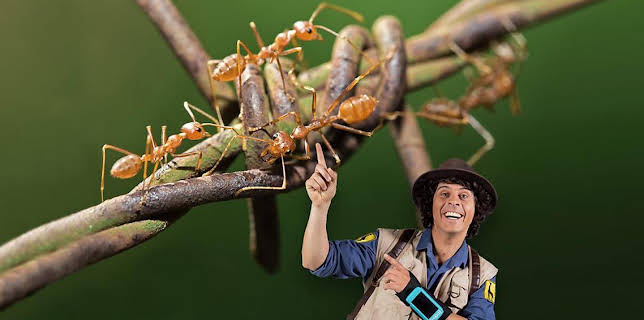 5:05 PM: Andy's Safari Adventures (S1) | Cbeebies | 3/4 2026