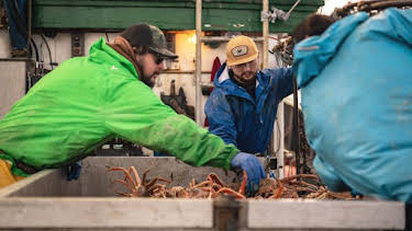 1:00 AM: Deadliest Catch (S19) | Discovery Channel | 9/19 2026