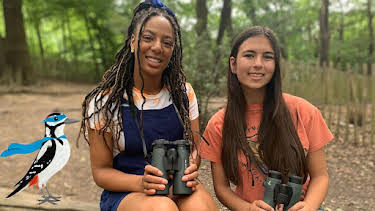 1:10 PM: Teeny Tiny Creatures (S3) | Cbeebies | 1/9 2026