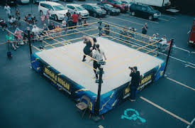 Wrestlers: Faces & Heels