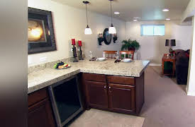 Professional Grade: Birthing a Basement