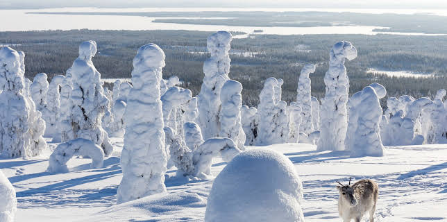 05:35: Ailos Reise | ZDF | 12/24 2025