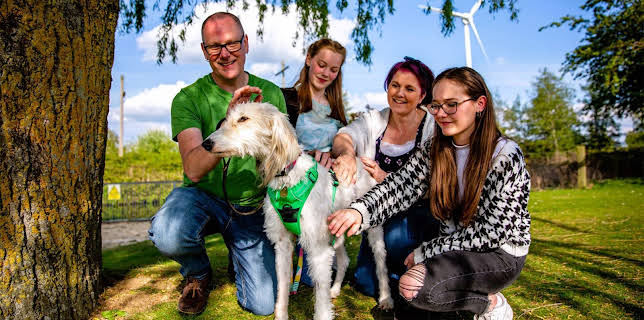 7:55 PM: The Dog House | More 4 | 2/16 2026