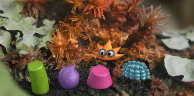 8:23 AM: Tiny Wonders (S1) | Cbeebies | 2/23 2026