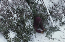 Alone: Frozen : Season 1: The Bitter End