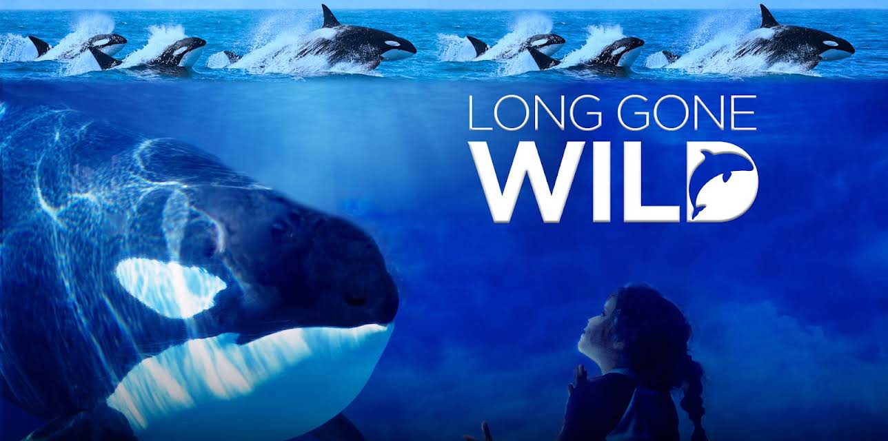 Long Gone Wild (2019)