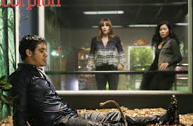 Scorpion, Season 1: Once Bitten, Twice Die