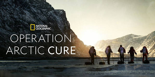Operation Arctic Cure (2024)