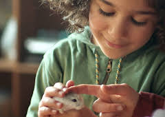 Saïd & Anna: Hamsteren