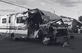 Crimes Gone Viral Season 1: Who Let the Dogs Out?