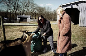 Tosca Talks Season 1: Tosca Talks with Jennifer L. Armentrout