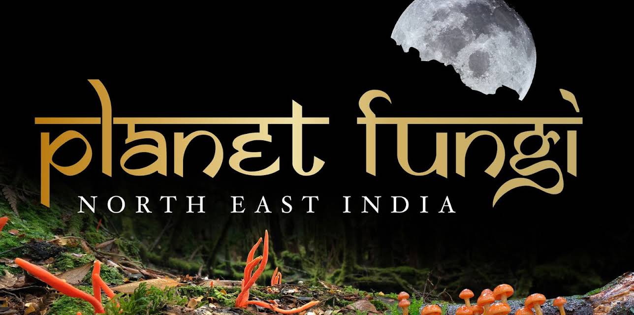 Planet Fungi (2020)