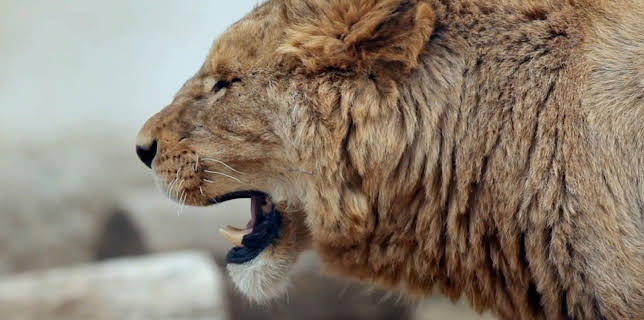 14:50: Das Unerklärliche | Kabel Eins Doku | 2/8 2026