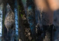 Ciclocross de Lille - Krawatencross (T2026): Carrera F