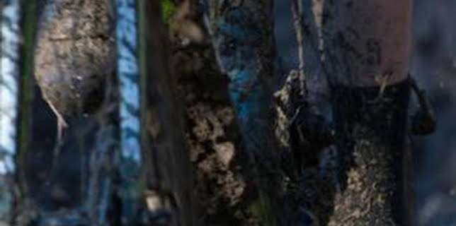 14:55: Ciclocross de Lille - Krawatencross (T2026): Carrera M | Eurosport 2 | 2/8 2026