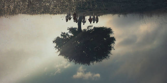 Kingdom of Us (2017)