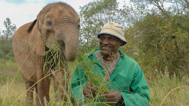 10:55 AM: Hamza Loves Animals: Africa (S1) | Cbeebies | 7/3 2026