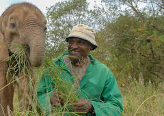 Hamza Loves Animals: Africa