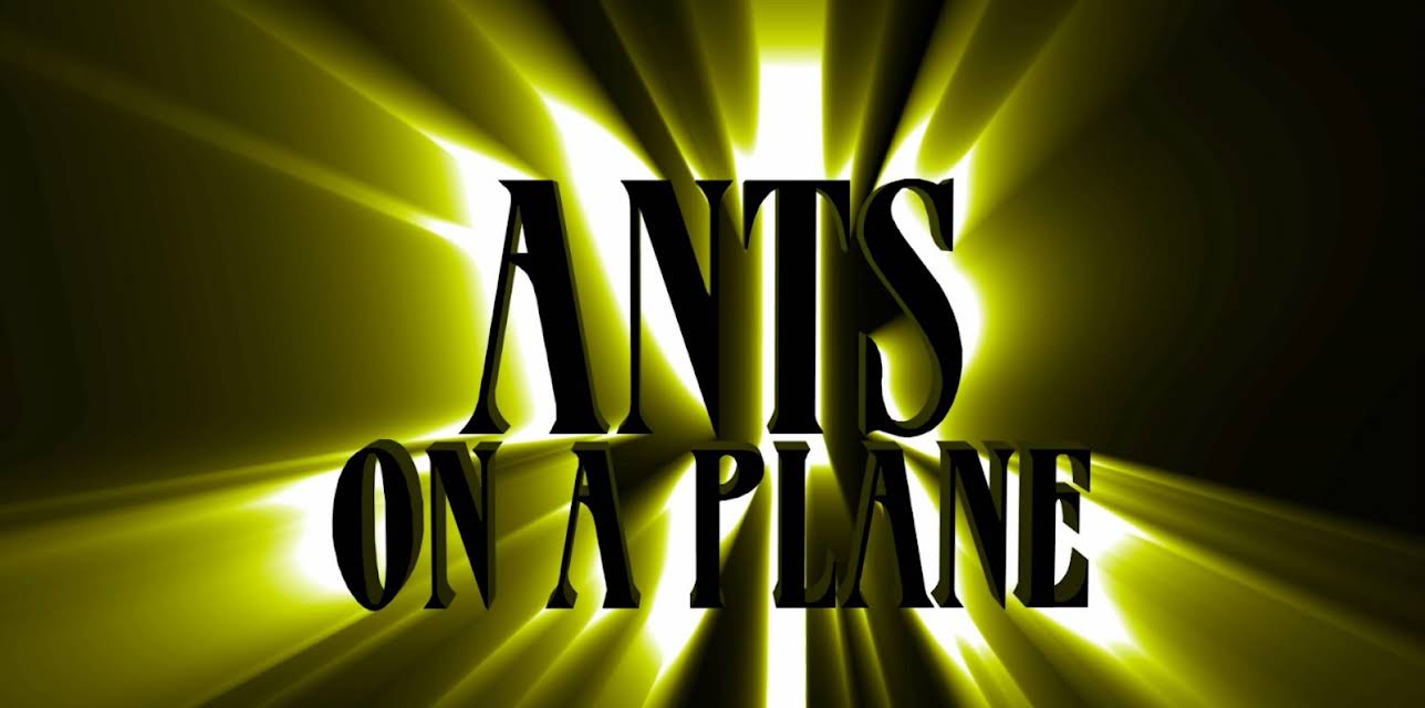 Ants On A  Plane (2007)