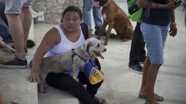 2:00 PM: Dr. Jeff: Rocky Mountain Vet (S4) | Discovery Channel | 4/7 2026