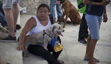 Dr. Jeff: Rocky Mountain Vet