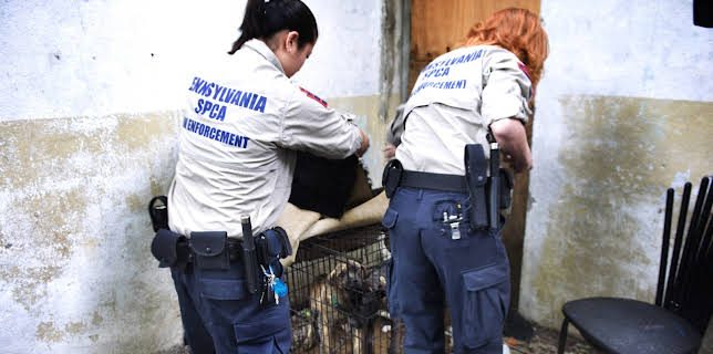 06:50: Animal Cops Philadelphia (S12 E2) (S12) | Animal Planet | 11/23 2025