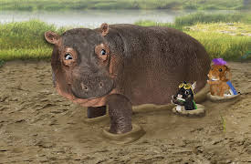 Wonder Pets: In The City: Save the Hedgehog! / Save the Hippo!