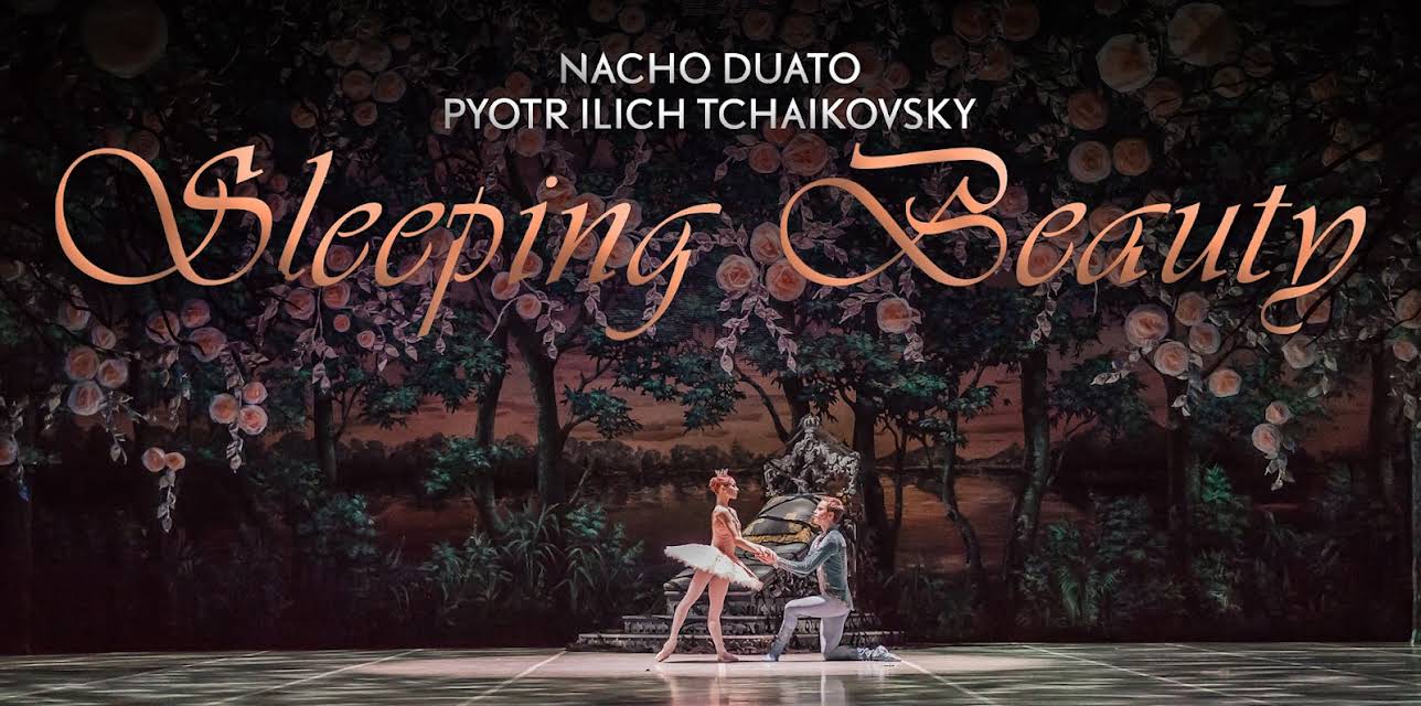 The Sleeping Beauty (2016)