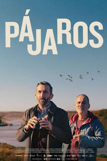 17:35: Ocells | TV3 Cat | 3/28 2026