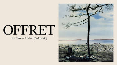 23:40: Offret | SVT1 | 10/12 2026