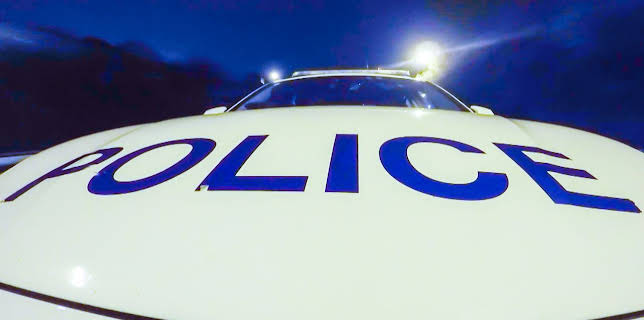 12:00 PM: Traffic Cops (S12 E17) (S12) | 5 Star | 12/2 2025