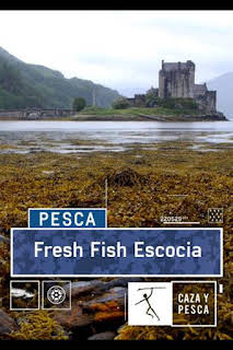 22:45: Fresh Fish, Escocia: Lingotes otoñales | Caza y Pesca | 7/13 2026