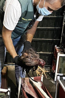 19:03: Seprona en acción: Episodio 6 | Discovery Max | 4/4 2026