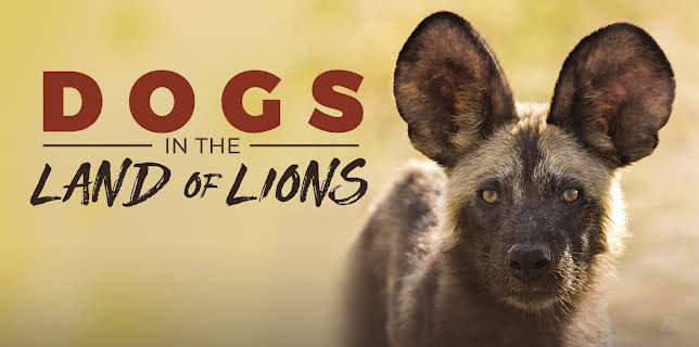 Dogs in the Land of Lions (2018)