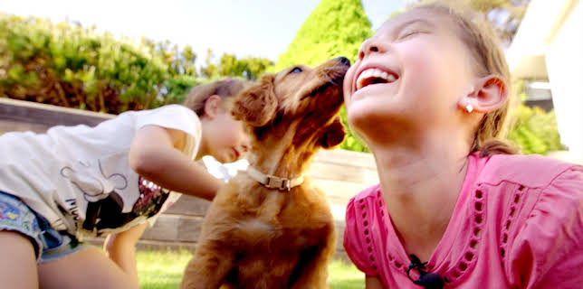 15:55: Valpedrømmen: Helene og Ulla | NRK Super | 1/26 2026
