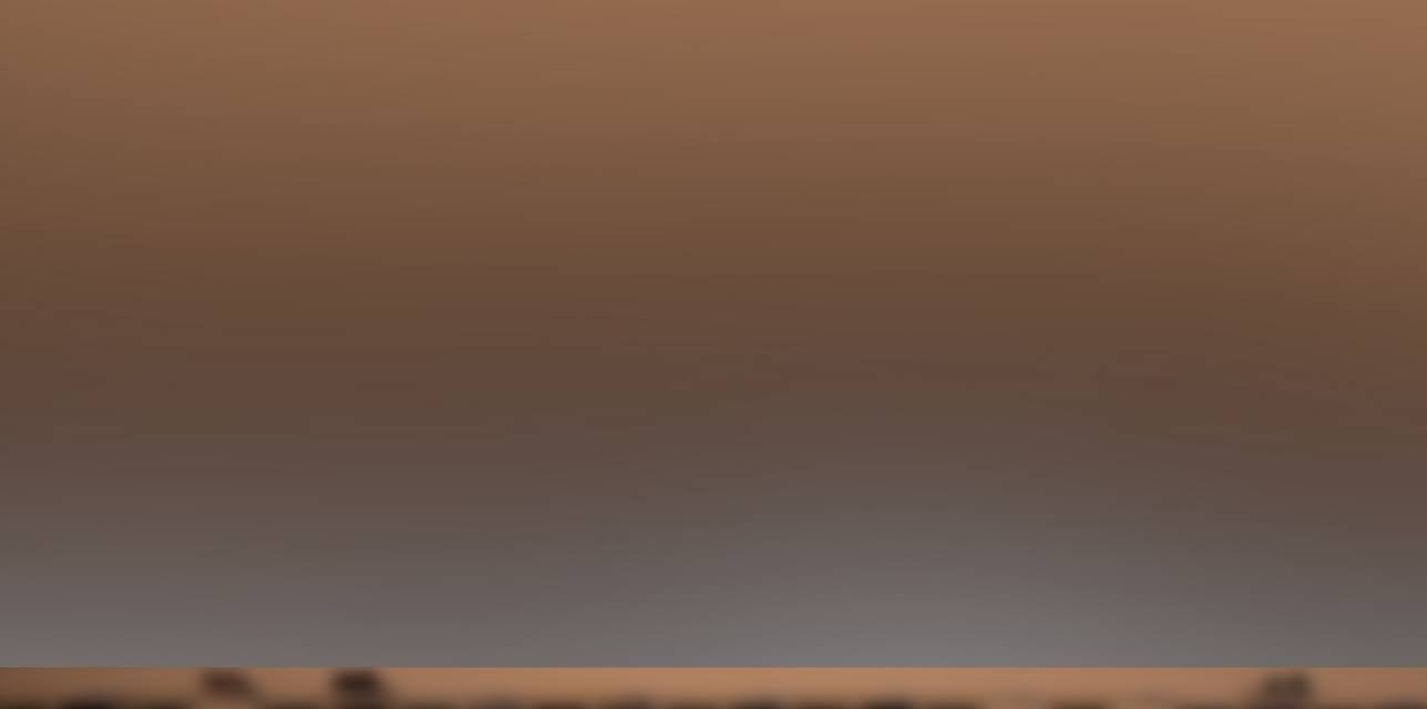 Acesso Total Botafogo