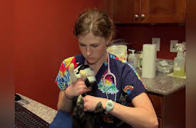 Dr. K's Exotic Animal ER Season 1: Kink-achoo!