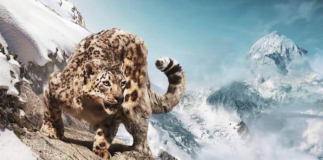 4:35 PM: Asia (S1) | BBC One | 1/25 2026