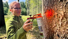 Wald Queens - Frauen im Forst