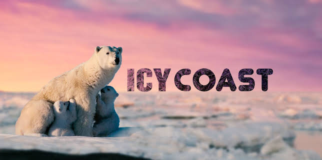 Icy Coast (2020)