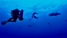 Mysterium Bermudadreieck
