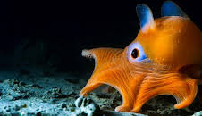 Blue Planet II