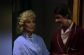 Growing Pains: The Complete First Season: Reputation