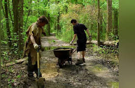 Live Free or Die Season 1: The Bears and the Bees