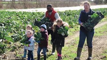 12:20 PM: Down on the Farm (S3) | Cbeebies | 7/11 2026