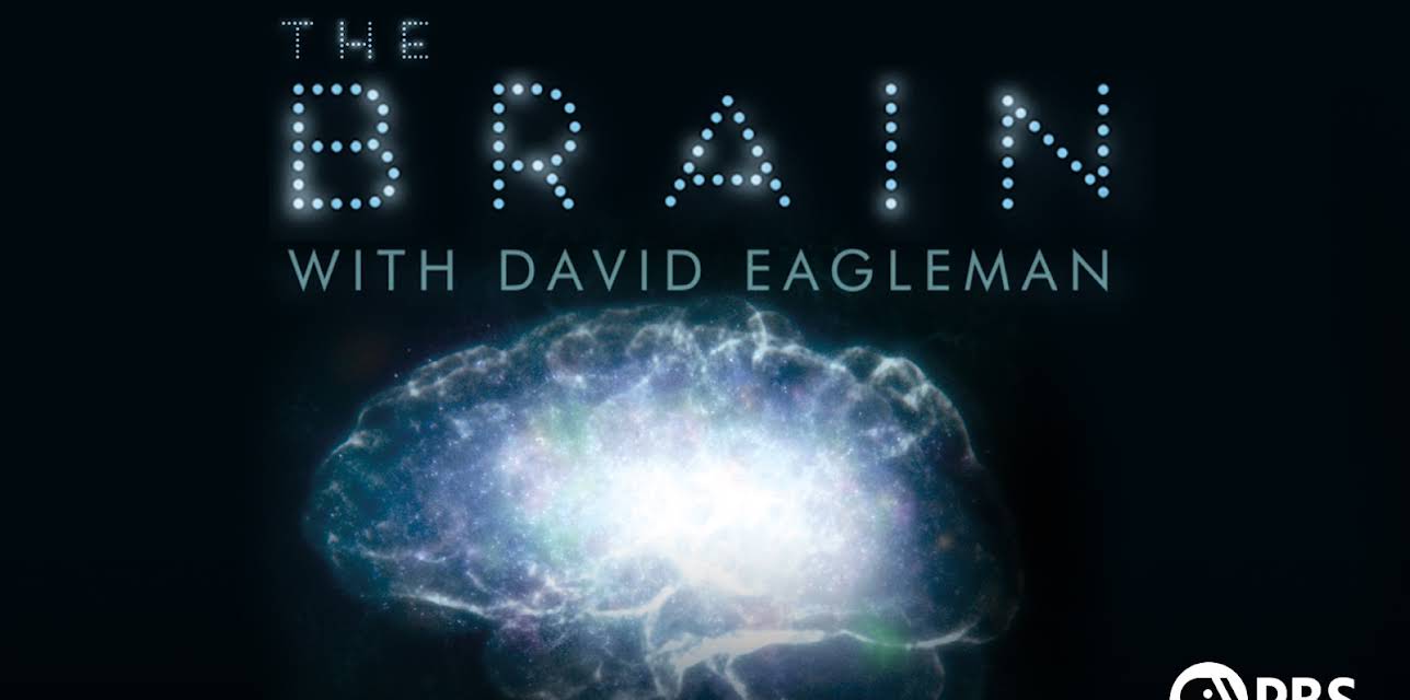 The Brain with David Eagleman