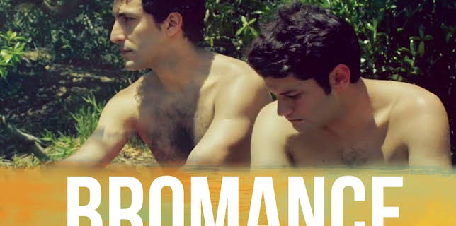 Bromance (2017)