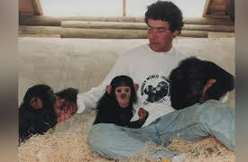 Monkey World: Primate Paradise: Monkey World Primate Paradise